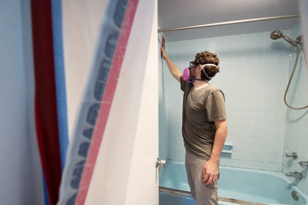 Professional Mold Removal in Rocky Point, NY
