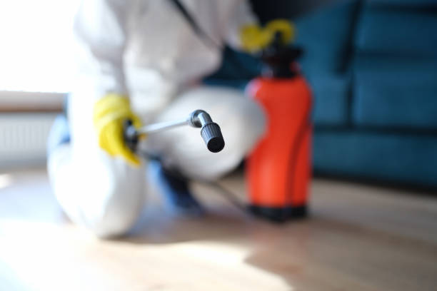 Best Residential Mold Inspection & Testing  in Rocky Point, NY